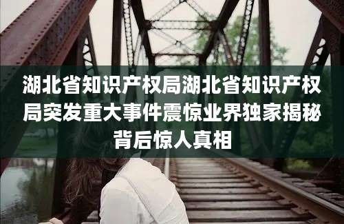 湖北省知识产权局湖北省知识产权局突发重大事件震惊业界独家揭秘背后惊人真相
