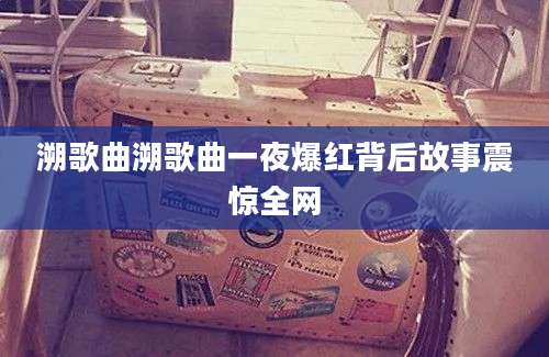 溯歌曲溯歌曲一夜爆红背后故事震惊全网