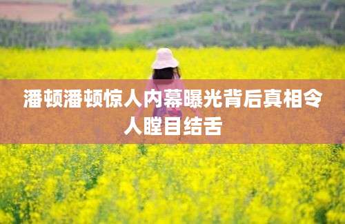 潘顿潘顿惊人内幕曝光背后真相令人瞠目结舌