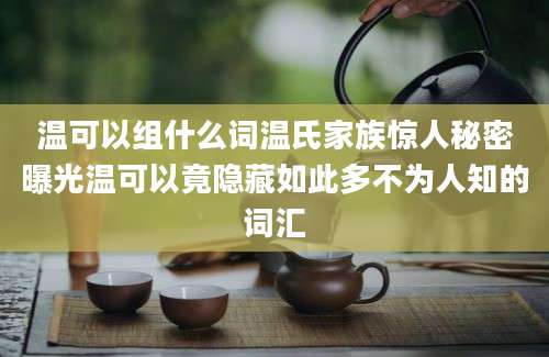 温可以组什么词温氏家族惊人秘密曝光温可以竟隐藏如此多不为人知的词汇