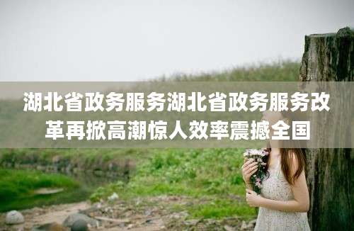 湖北省政务服务湖北省政务服务改革再掀高潮惊人效率震撼全国