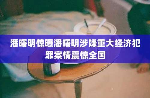 潘曙明惊曝潘曙明涉嫌重大经济犯罪案情震惊全国