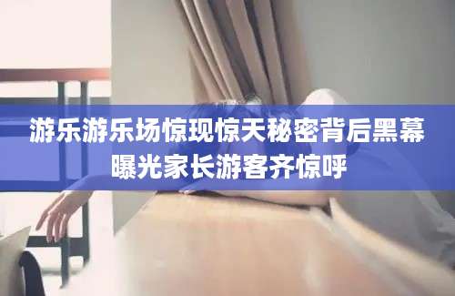 游乐游乐场惊现惊天秘密背后黑幕曝光家长游客齐惊呼