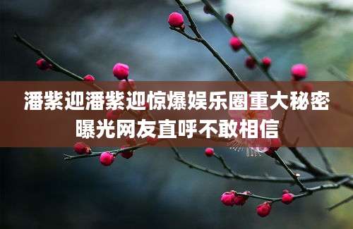 潘紫迎潘紫迎惊爆娱乐圈重大秘密曝光网友直呼不敢相信
