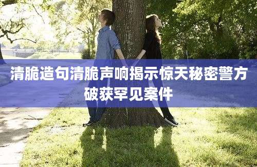 清脆造句清脆声响揭示惊天秘密警方破获罕见案件
