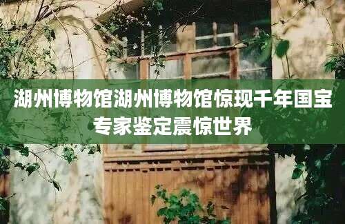 湖州博物馆湖州博物馆惊现千年国宝专家鉴定震惊世界