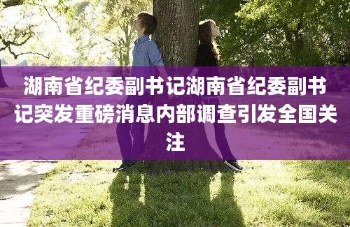 湖南省纪委副书记湖南省纪委副书记突发重磅消息内部调查引发全国关注
