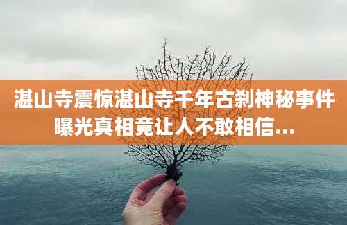 湛山寺震惊湛山寺千年古刹神秘事件曝光真相竟让人不敢相信...