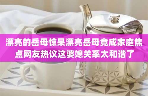 漂亮的岳母惊呆漂亮岳母竟成家庭焦点网友热议这婆媳关系太和谐了