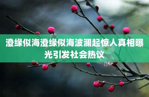 澄缘似海澄缘似海波澜起惊人真相曝光引发社会热议