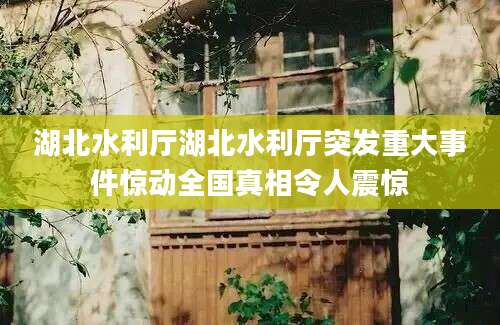 湖北水利厅湖北水利厅突发重大事件惊动全国真相令人震惊