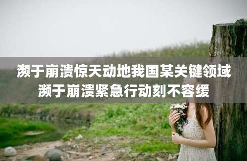 濒于崩溃惊天动地我国某关键领域濒于崩溃紧急行动刻不容缓