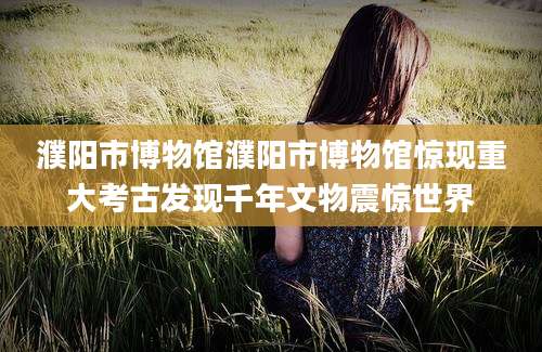 濮阳市博物馆濮阳市博物馆惊现重大考古发现千年文物震惊世界