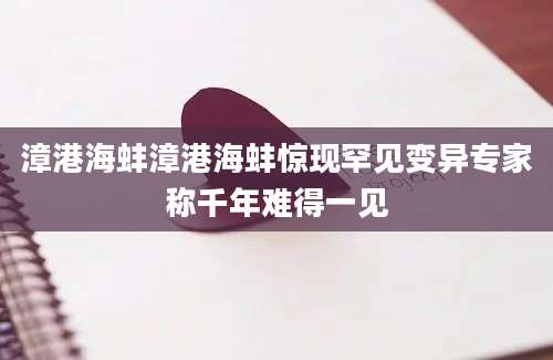 漳港海蚌漳港海蚌惊现罕见变异专家称千年难得一见