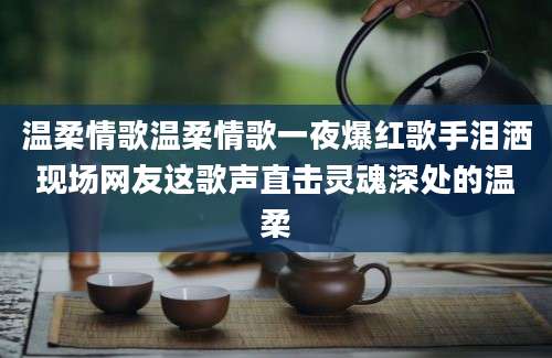 温柔情歌温柔情歌一夜爆红歌手泪洒现场网友这歌声直击灵魂深处的温柔