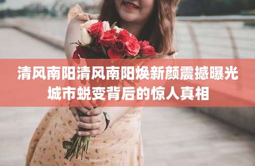清风南阳清风南阳焕新颜震撼曝光城市蜕变背后的惊人真相