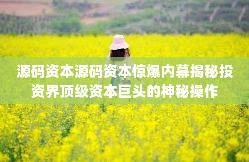 源码资本源码资本惊爆内幕揭秘投资界顶级资本巨头的神秘操作
