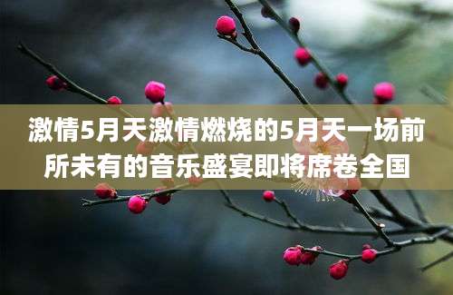 激情5月天激情燃烧的5月天一场前所未有的音乐盛宴即将席卷全国