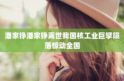 潘家铮潘家铮离世我国核工业巨擘陨落惊动全国