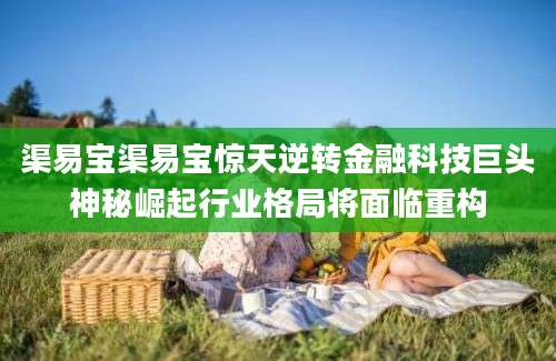 渠易宝渠易宝惊天逆转金融科技巨头神秘崛起行业格局将面临重构
