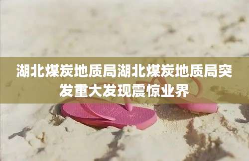 湖北煤炭地质局湖北煤炭地质局突发重大发现震惊业界