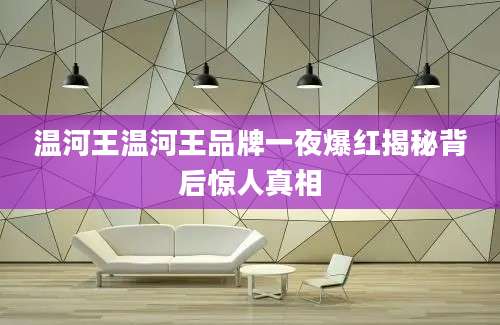 温河王温河王品牌一夜爆红揭秘背后惊人真相