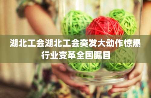 湖北工会湖北工会突发大动作惊爆行业变革全国瞩目