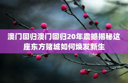 澳门回归澳门回归20年震撼揭秘这座东方赌城如何焕发新生