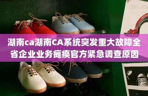 湖南ca湖南CA系统突发重大故障全省企业业务瘫痪官方紧急调查原因