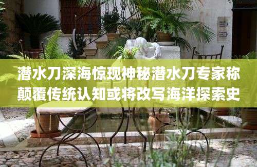 潜水刀深海惊现神秘潜水刀专家称颠覆传统认知或将改写海洋探索史