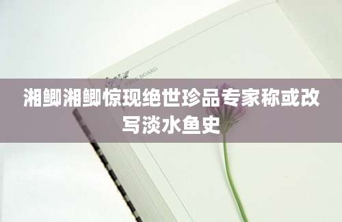 湘鲫湘鲫惊现绝世珍品专家称或改写淡水鱼史