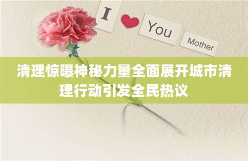 清理惊曝神秘力量全面展开城市清理行动引发全民热议