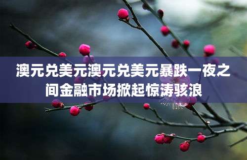 澳元兑美元澳元兑美元暴跌一夜之间金融市场掀起惊涛骇浪