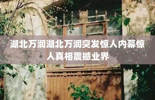 湖北万润湖北万润突发惊人内幕惊人真相震撼业界
