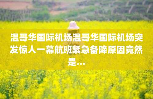 温哥华国际机场温哥华国际机场突发惊人一幕航班紧急备降原因竟然是...