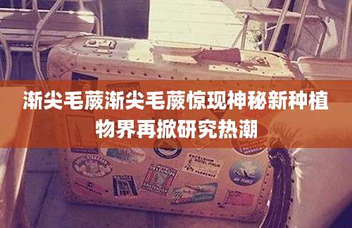 渐尖毛蕨渐尖毛蕨惊现神秘新种植物界再掀研究热潮