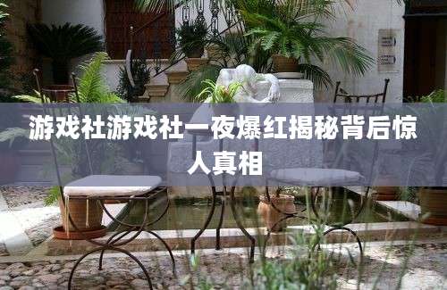 游戏社游戏社一夜爆红揭秘背后惊人真相