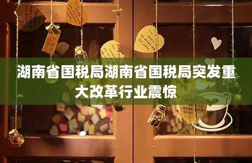 湖南省国税局湖南省国税局突发重大改革行业震惊