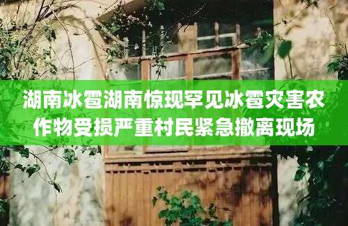湖南冰雹湖南惊现罕见冰雹灾害农作物受损严重村民紧急撤离现场