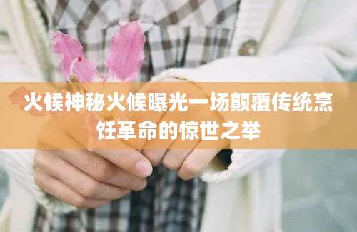 火候神秘火候曝光一场颠覆传统烹饪革命的惊世之举