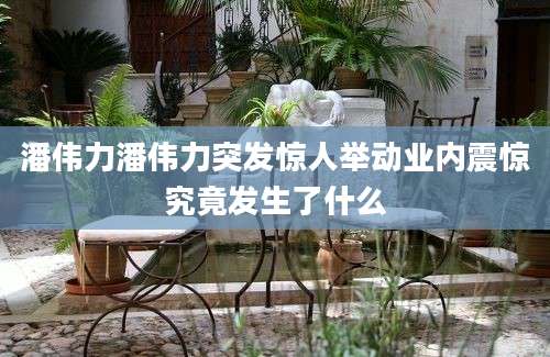 潘伟力潘伟力突发惊人举动业内震惊究竟发生了什么