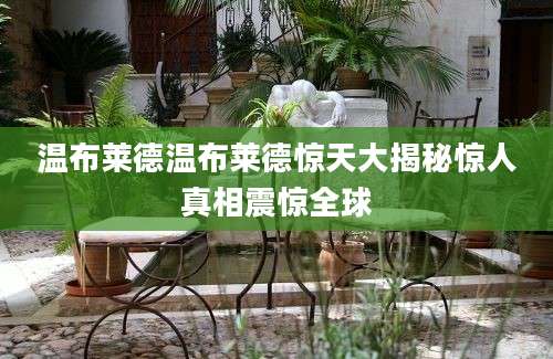 温布莱德温布莱德惊天大揭秘惊人真相震惊全球
