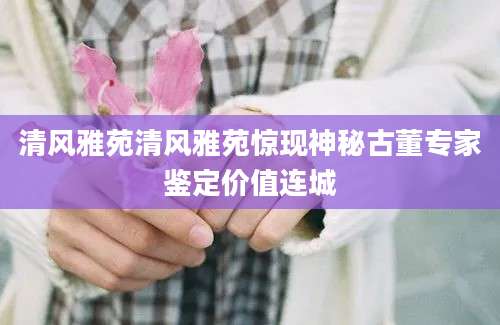 清风雅苑清风雅苑惊现神秘古董专家鉴定价值连城