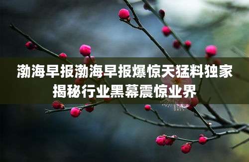 渤海早报渤海早报爆惊天猛料独家揭秘行业黑幕震惊业界