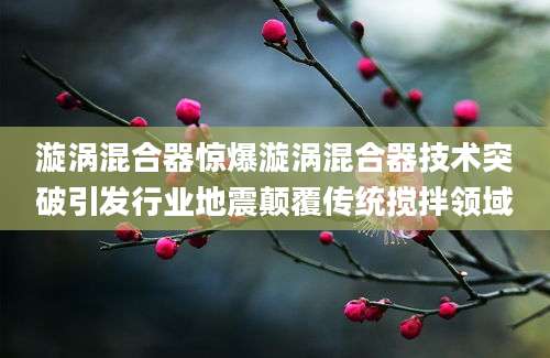 漩涡混合器惊爆漩涡混合器技术突破引发行业地震颠覆传统搅拌领域