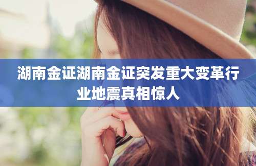湖南金证湖南金证突发重大变革行业地震真相惊人