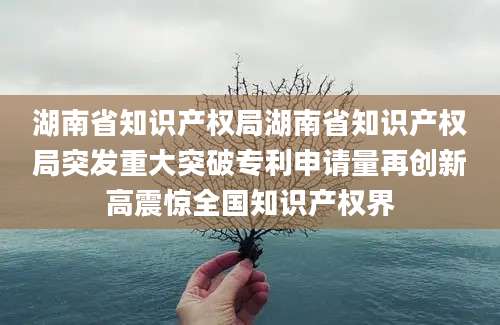 湖南省知识产权局湖南省知识产权局突发重大突破专利申请量再创新高震惊全国知识产权界