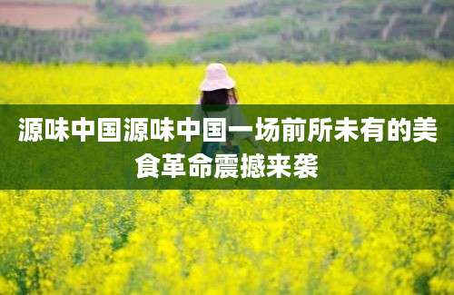 源味中国源味中国一场前所未有的美食革命震撼来袭