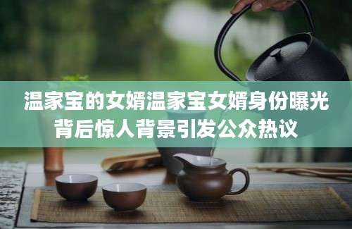 温家宝的女婿温家宝女婿身份曝光背后惊人背景引发公众热议