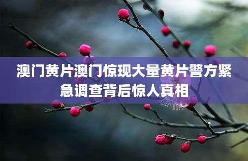 澳门黄片澳门惊现大量黄片警方紧急调查背后惊人真相